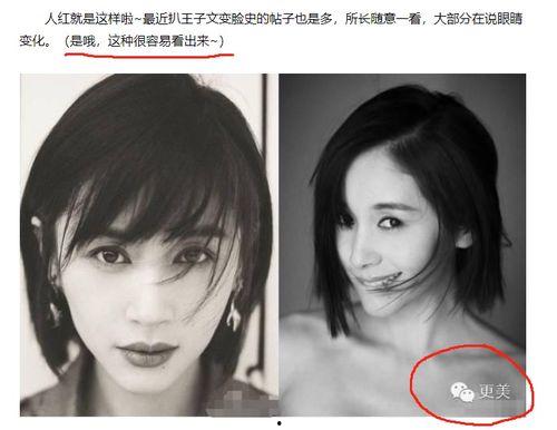 明星黑料最新,明星黑料曝光，真相背后引人深思-第1张图片-成人动漫3d无尽视频