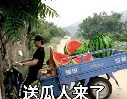 最近大瓜事件,揭秘明星隐私风波背后的真相-第1张图片-成人动漫3d无尽视频