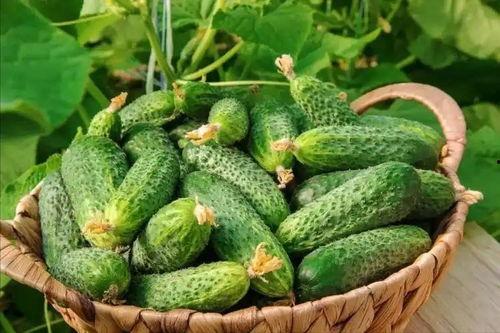 最近大瓜事件,揭秘明星隐私风波背后的真相-第2张图片-成人动漫3d无尽视频