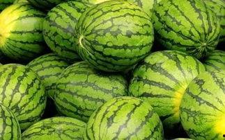 吃瓜网官网免费观看 吃瓜网官网,免费观看，畅享娱乐盛宴-第2张图片-成人动漫3d无尽视频