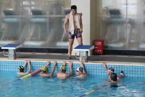 成人自学游泳搞笑视频,成人自学游泳的欢乐瞬间大揭秘-第1张图片-成人动漫3d无尽视频