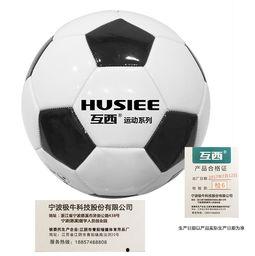 足球5号 成人比赛视频,足球5号成人比赛精彩瞬间回顾-第2张图片-成人动漫3d无尽视频