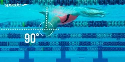 成人学蛙泳动作视频大全,视频教程大合集-第1张图片-成人动漫3d无尽视频