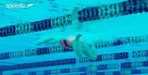 成人学蛙泳动作视频大全,视频教程大合集-第2张图片-成人动漫3d无尽视频