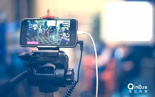 成人带货视频在线观看,在线观看背后的秘密与技巧-第2张图片-成人动漫3d无尽视频