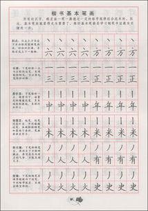成人硬笔字起步教学视频,轻松掌握成人硬笔书法技巧-第1张图片-成人动漫3d无尽视频
