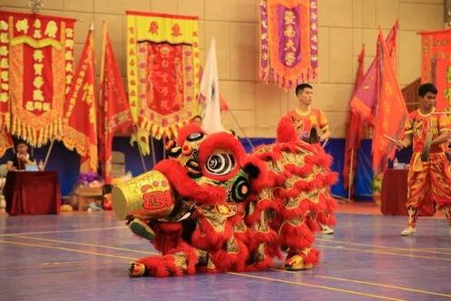 成人舞狮大赛视频大全集,成人舞狮大赛精彩瞬间大盘点-第1张图片-成人动漫3d无尽视频