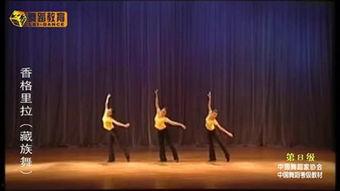 蜗牛成人舞蹈视频教程下载,轻松入门成人舞蹈的优雅之旅-第3张图片-成人动漫3d无尽视频