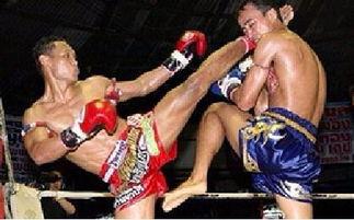 成人搏击奔牛比赛视频,激情四溢！成人搏击奔牛比赛惊心动魄瞬间回顾-第1张图片-成人动漫3d无尽视频