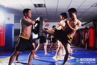 成人搏击奔牛比赛视频,激情四溢！成人搏击奔牛比赛惊心动魄瞬间回顾-第2张图片-成人动漫3d无尽视频