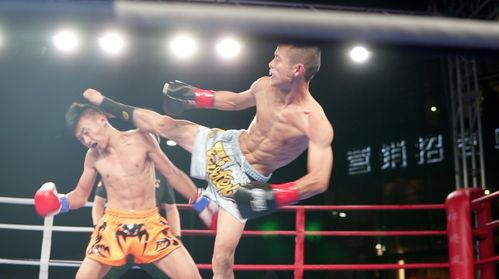 成人搏击奔牛比赛视频,激情四溢！成人搏击奔牛比赛惊心动魄瞬间回顾-第3张图片-成人动漫3d无尽视频