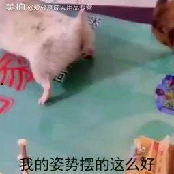 成人用品男房事视频,成人用品助力男房事体验升级揭秘-第3张图片-成人动漫3d无尽视频