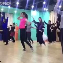 中国舞搞笑视频成人教学,中国舞搞笑视频助力成人舞蹈教学新风尚-第1张图片-成人动漫3d无尽视频