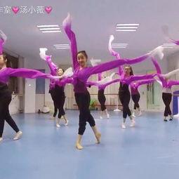 中国舞搞笑视频成人教学,中国舞搞笑视频助力成人舞蹈教学新风尚-第2张图片-成人动漫3d无尽视频