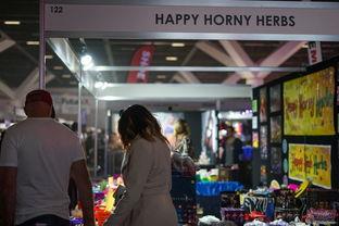 韩国成人会展试用视频,揭秘现场盛况与互动亮点-第3张图片-成人动漫3d无尽视频