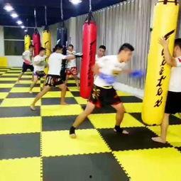 成人搏击怎么训练视频,高效提升实战技巧全攻略-第2张图片-成人动漫3d无尽视频