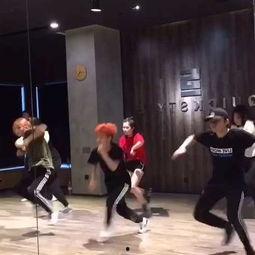 大杨树成人舞蹈视频-第2张图片-成人动漫3d无尽视频