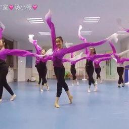 大杨树成人舞蹈视频-第3张图片-成人动漫3d无尽视频