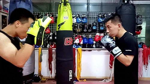 成人搏击靶训练视频-第1张图片-成人动漫3d无尽视频