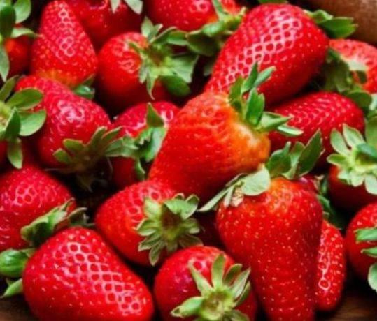 草莓视频男人最爱成人,男人最爱成人生涯的五大秘密-第1张图片-成人动漫3d无尽视频