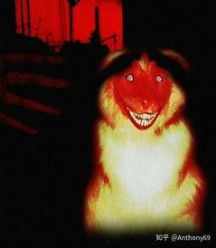 狗化成人形恐怖视频-第1张图片-成人动漫3d无尽视频