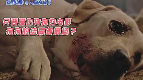 狗化成人形恐怖视频-第2张图片-成人动漫3d无尽视频