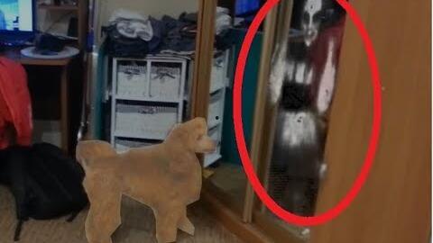 狗化成人形恐怖视频-第3张图片-成人动漫3d无尽视频