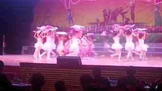 放飞梦想视频舞蹈成人,梦想翱翔——放飞梦想视频舞蹈启示录-第1张图片-成人动漫3d无尽视频