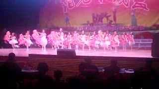 放飞梦想视频舞蹈成人,梦想翱翔——放飞梦想视频舞蹈启示录-第2张图片-成人动漫3d无尽视频