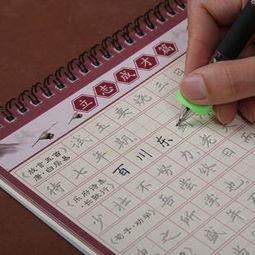 草书字帖 成人练字视频,领略书法之美，提升书写技艺-第1张图片-成人动漫3d无尽视频