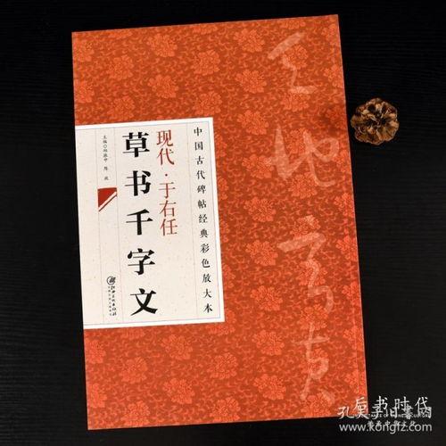 草书字帖 成人练字视频,领略书法之美，提升书写技艺-第2张图片-成人动漫3d无尽视频