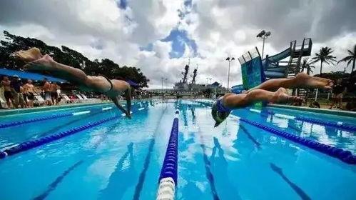 成人游泳教学互动视频大全,成人游泳教学视频大全解析-第2张图片-成人动漫3d无尽视频