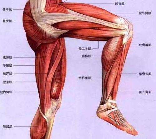 成人舌肌训练教学视频-第1张图片-成人动漫3d无尽视频