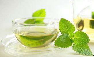 绿茶视频成人之美-第2张图片-成人动漫3d无尽视频