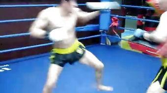 成人散打训练视频大全集-第3张图片-成人动漫3d无尽视频