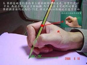 成人握笔姿势口诀视频,轻松书写高效学习-第1张图片-成人动漫3d无尽视频